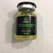 TESTOSTERONE ENANTHATE NORDIC FUSION